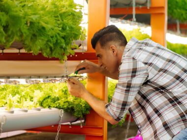 Farm Technician Jobs in Canada