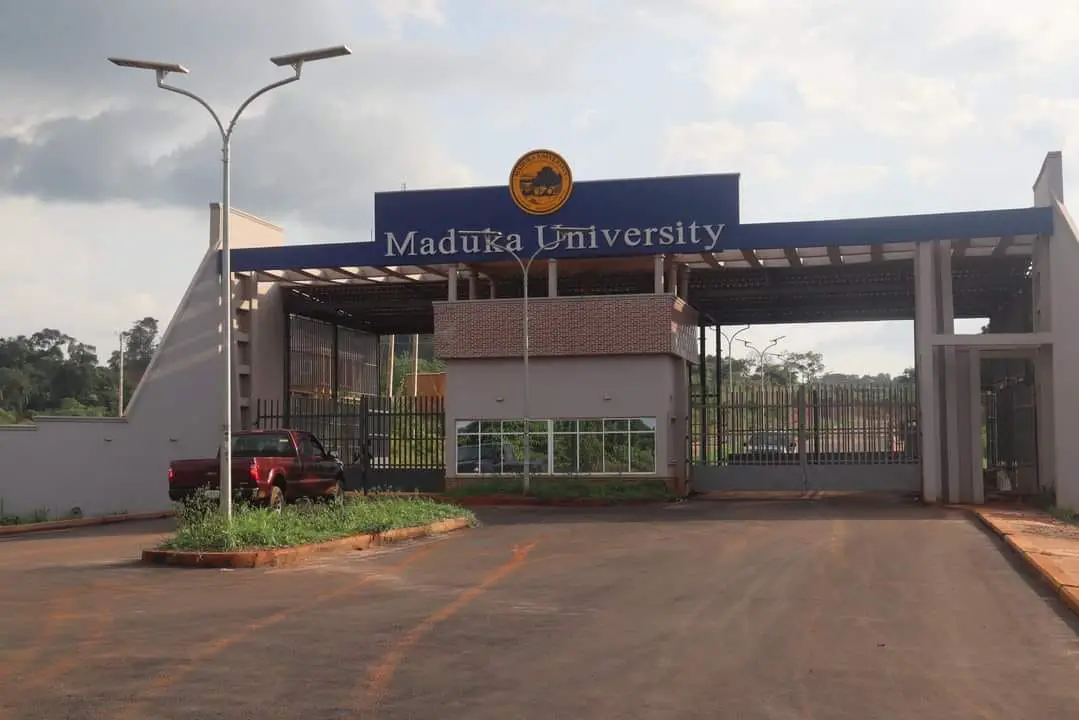 Courses Offered In Maduka University